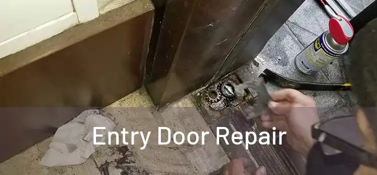 Entry Door Repair