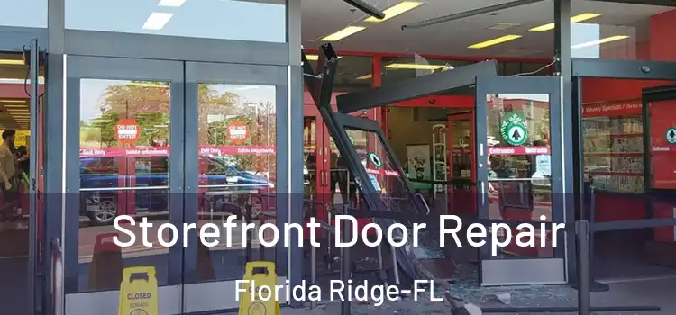 Storefront Door Repair Florida Ridge-FL